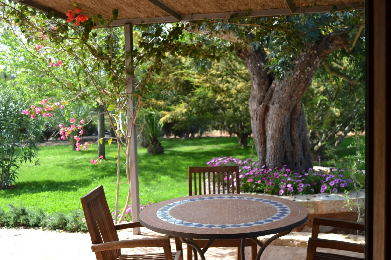 Foto - Agroturismo Son Barceló Mas