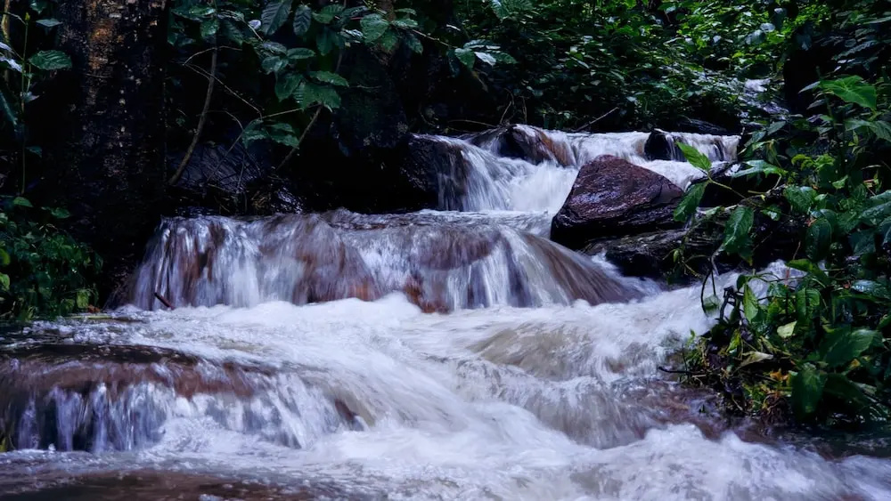 Devigiri Home Stay and Resort