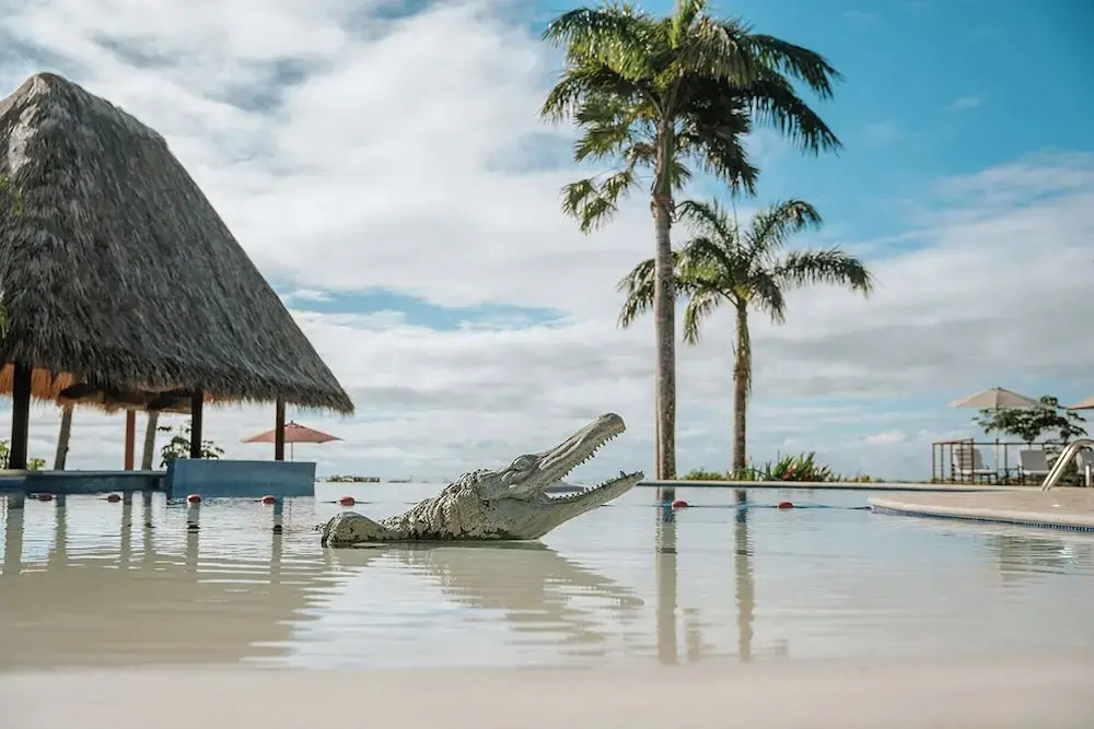 Foto - Vista Suites at Parador - Adults Only