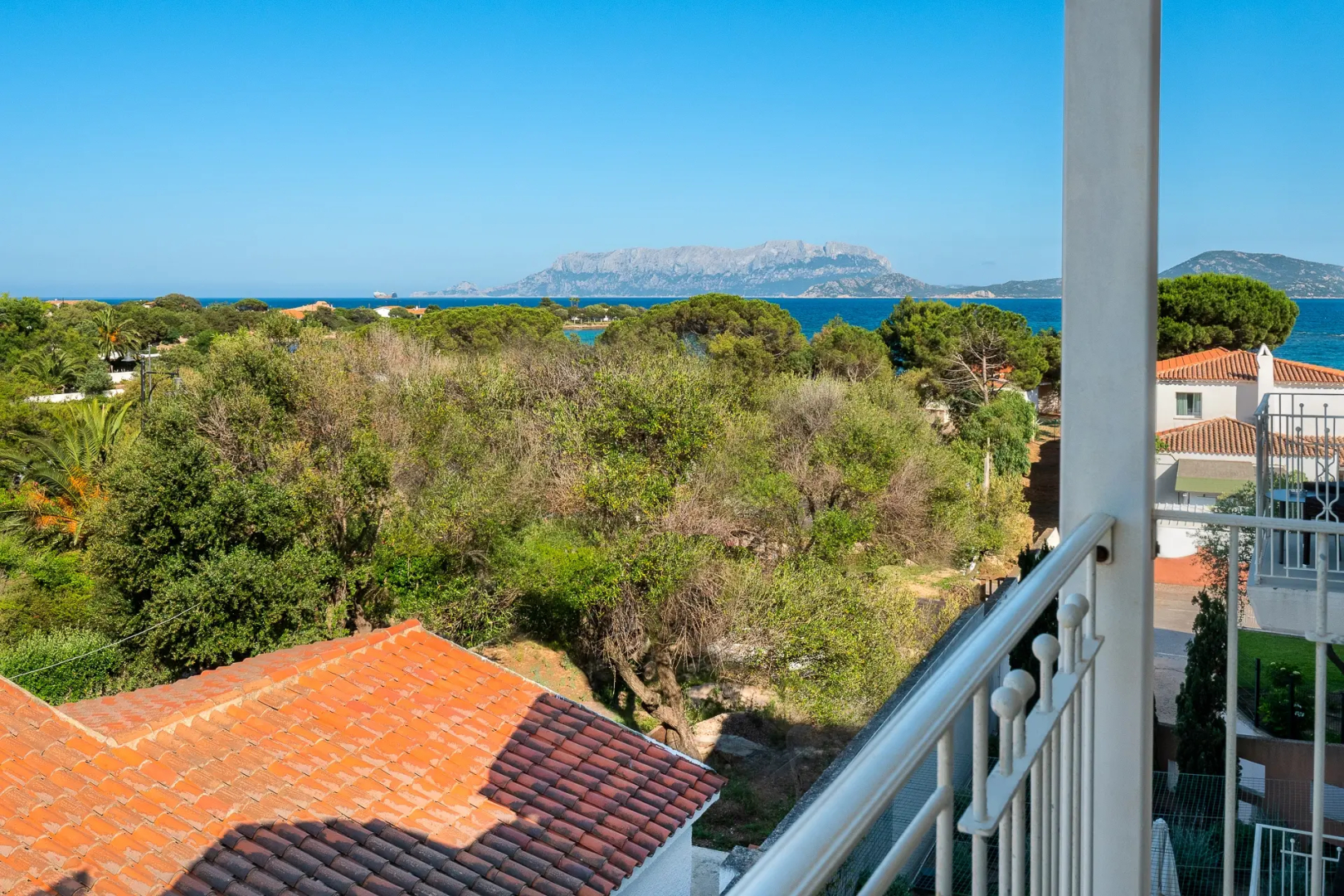 Foto - The Pelican Beach Resort & SPA - Adults Only