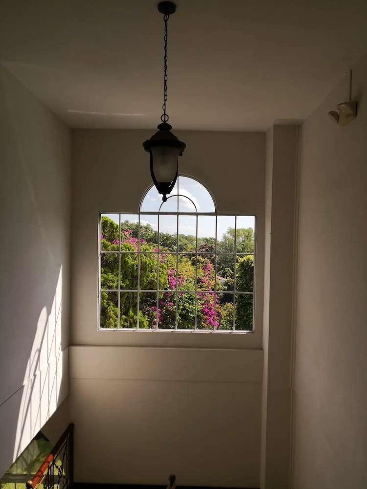Foto - Hotel Mirador Plaza