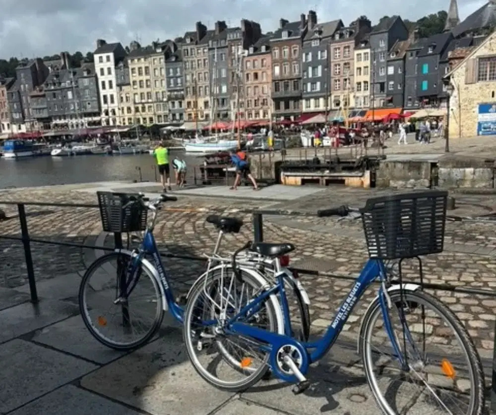 Foto - Contact hôtel - Hôtel Les Bleuets & SPA