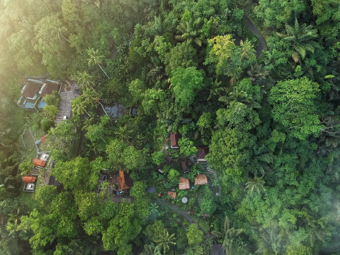 Foto - Bali Jungle Resort