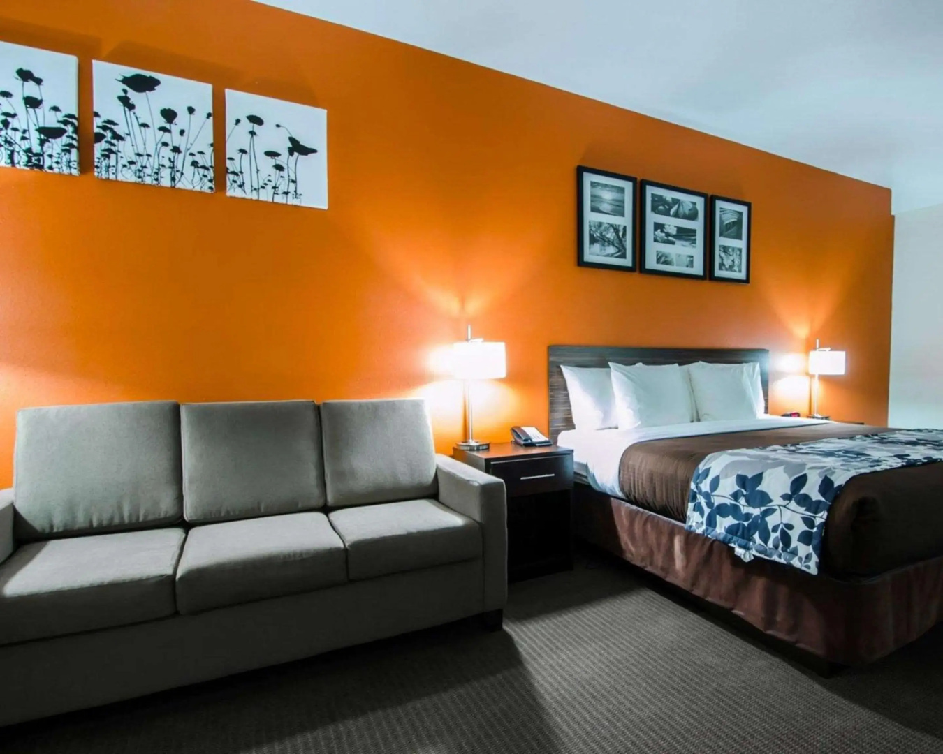 Foto - Sleep Inn & Suites And Conference Center Downtown