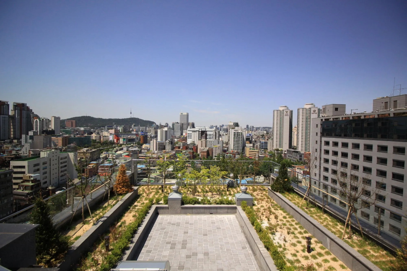 Photo - Seoul N Hotel Dongdaemun