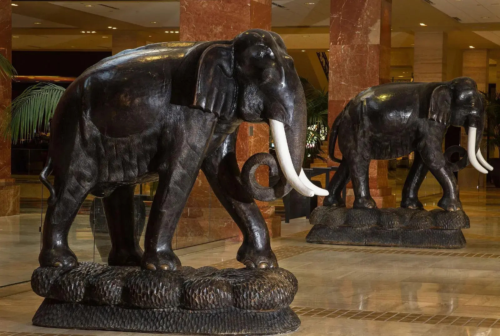 Photo - Hilton Anatole