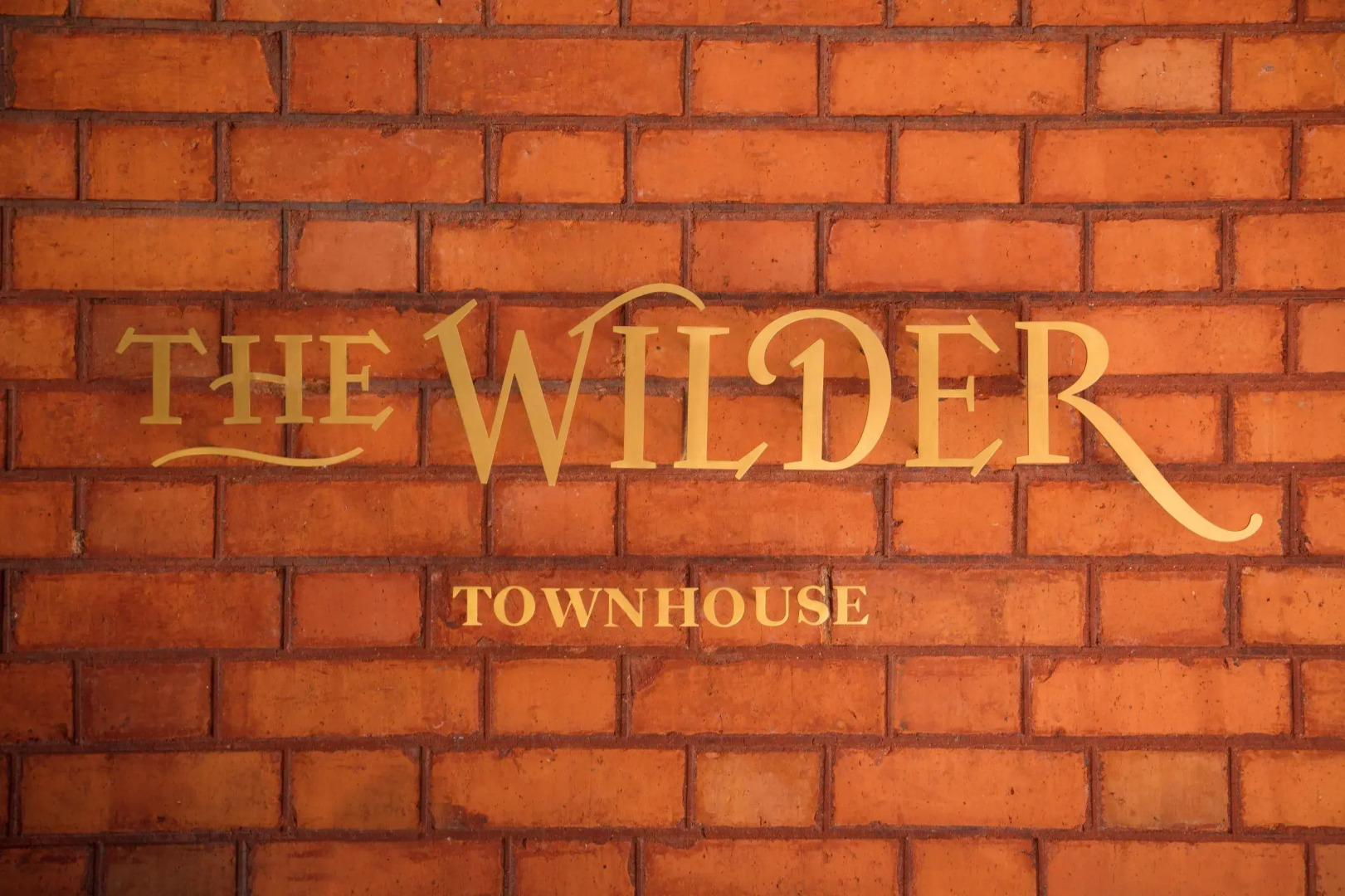 Foto - The Wilder