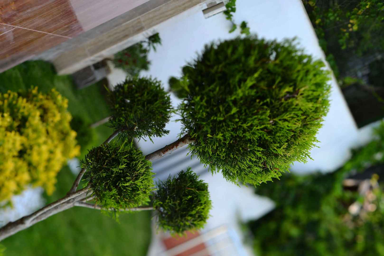 Photo - Doc's Boutique Hotel Kemer