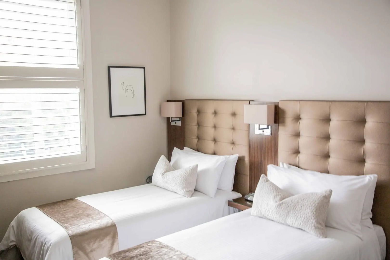 Foto - Royal Hotel Randwick