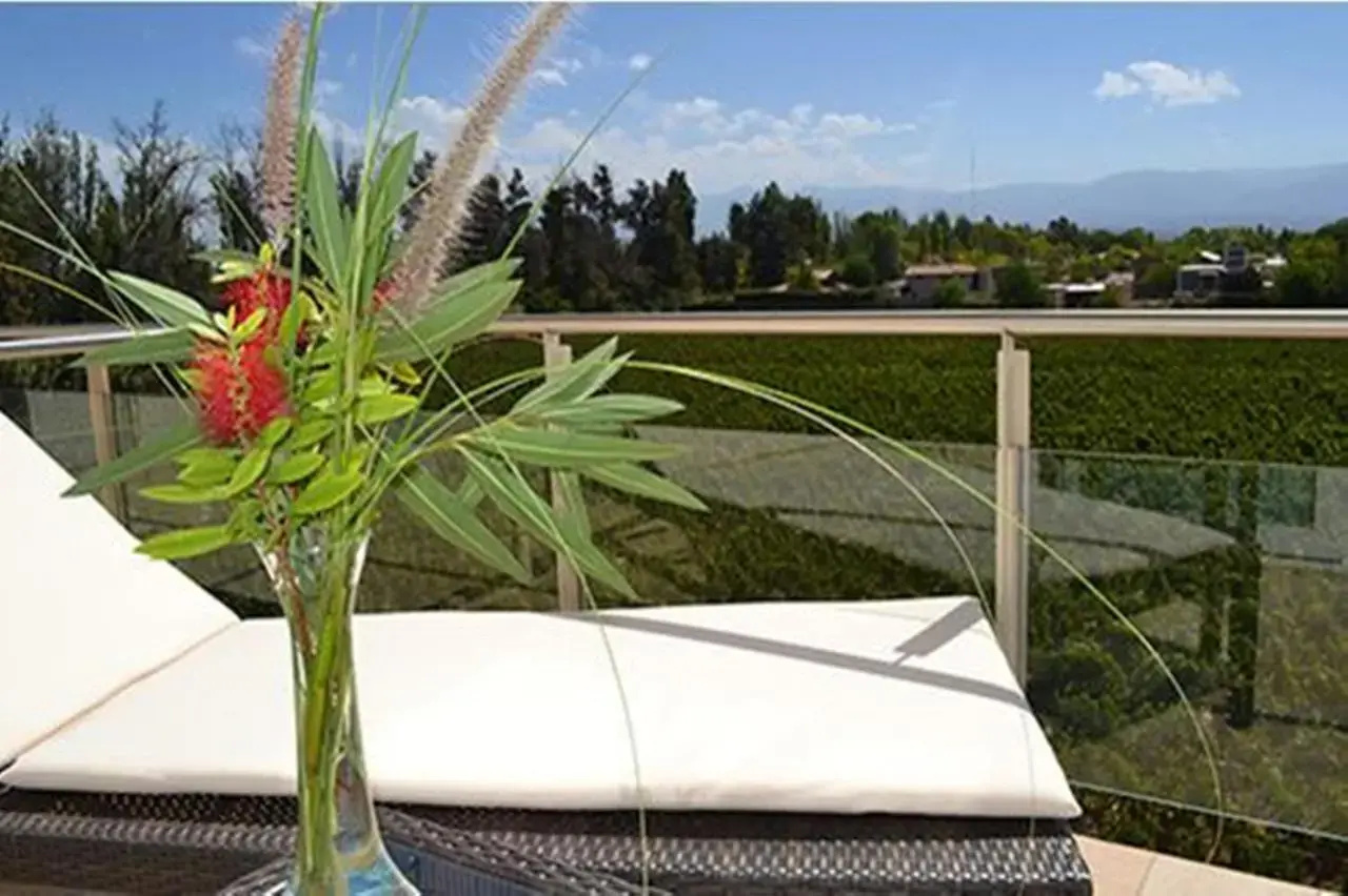 Photo - Hotel Finca Hermitage