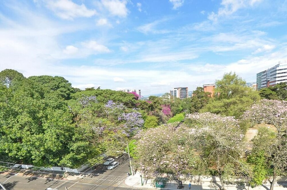 Foto - Hotel Santander Plaza