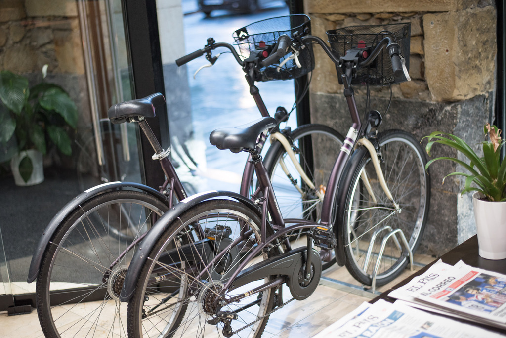 Photo - Petit Palace Arana Bilbao