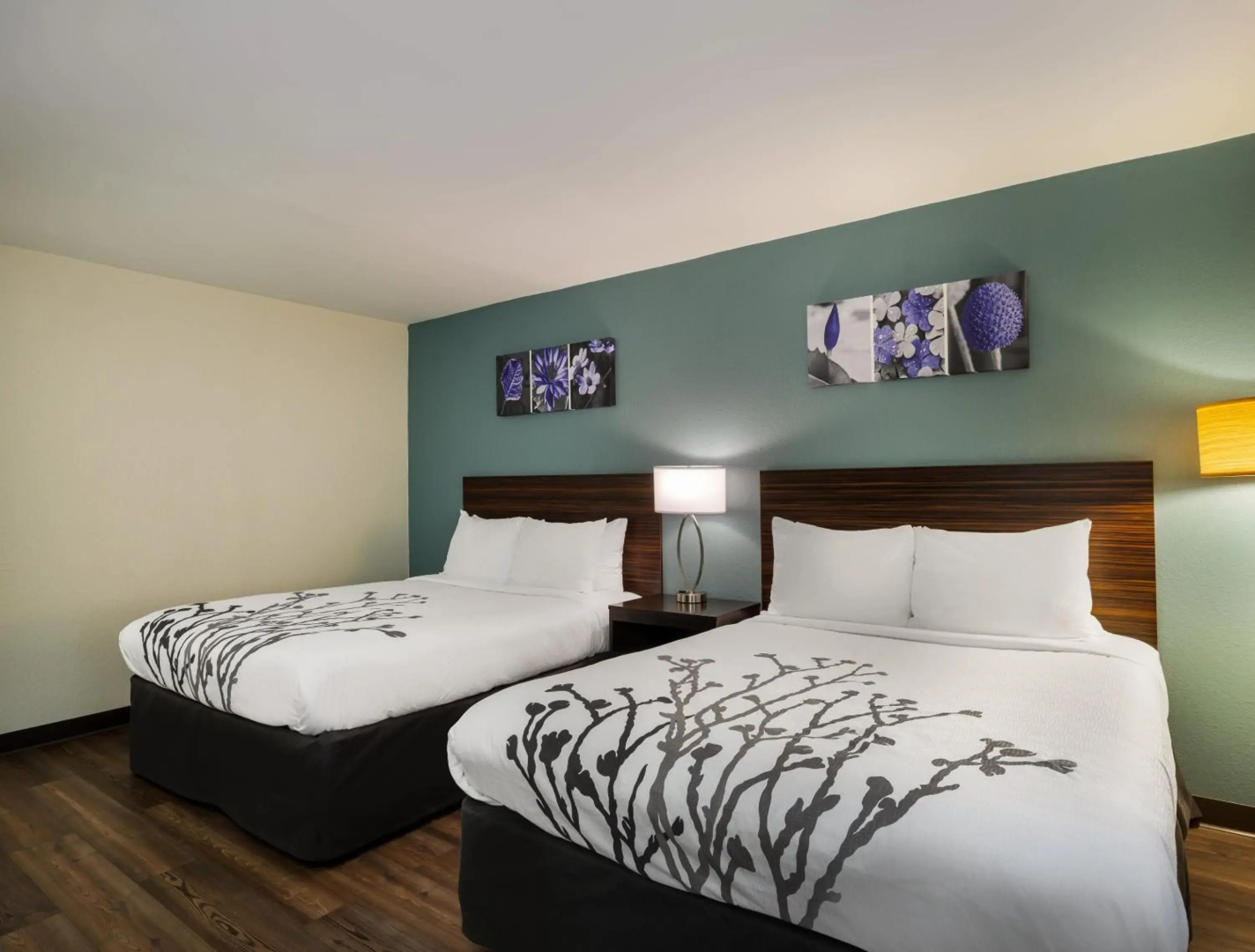 Foto - Sleep Inn Savannah Midtown