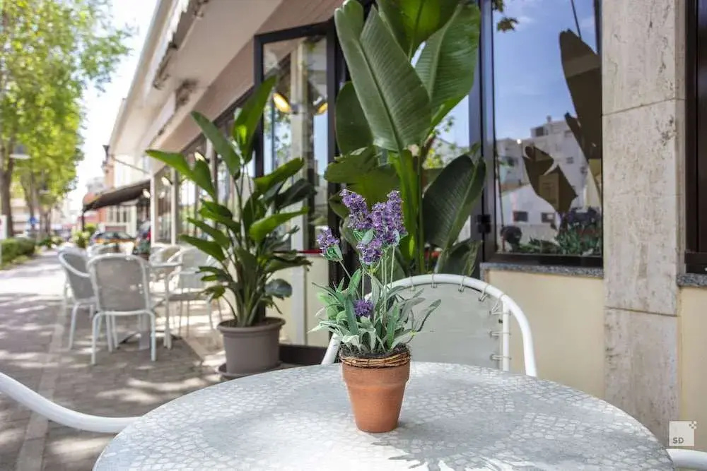 Foto - Hotel Fattori