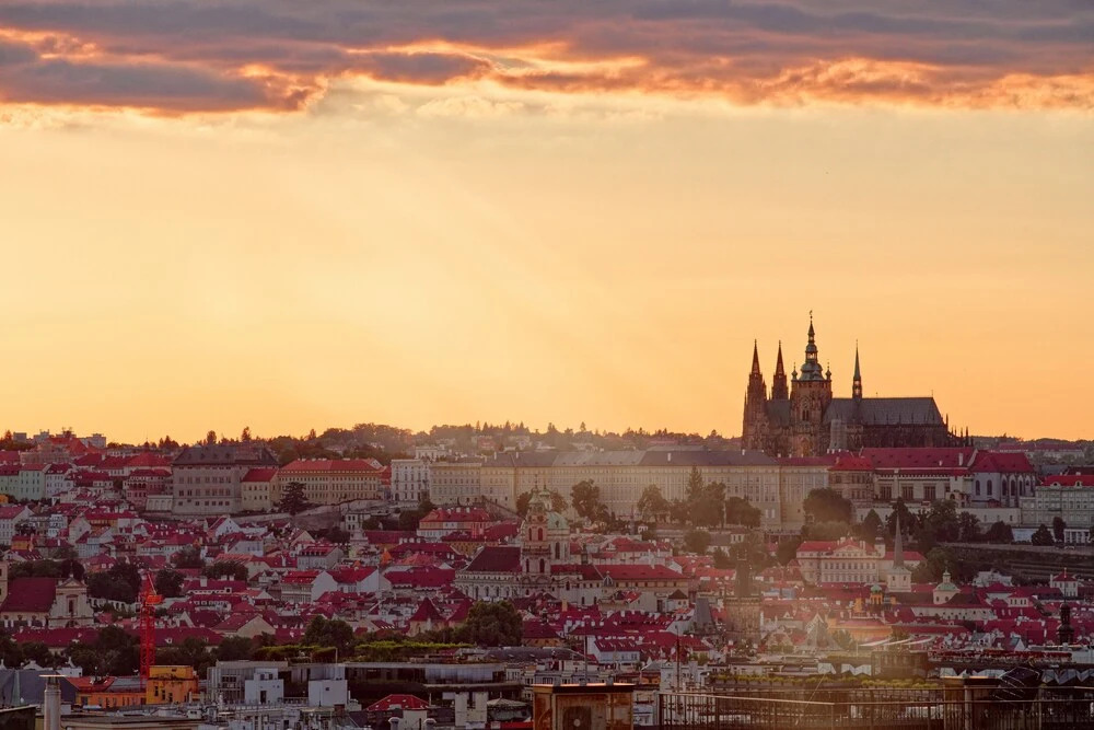 Foto - Luma Terra Prague Hostel