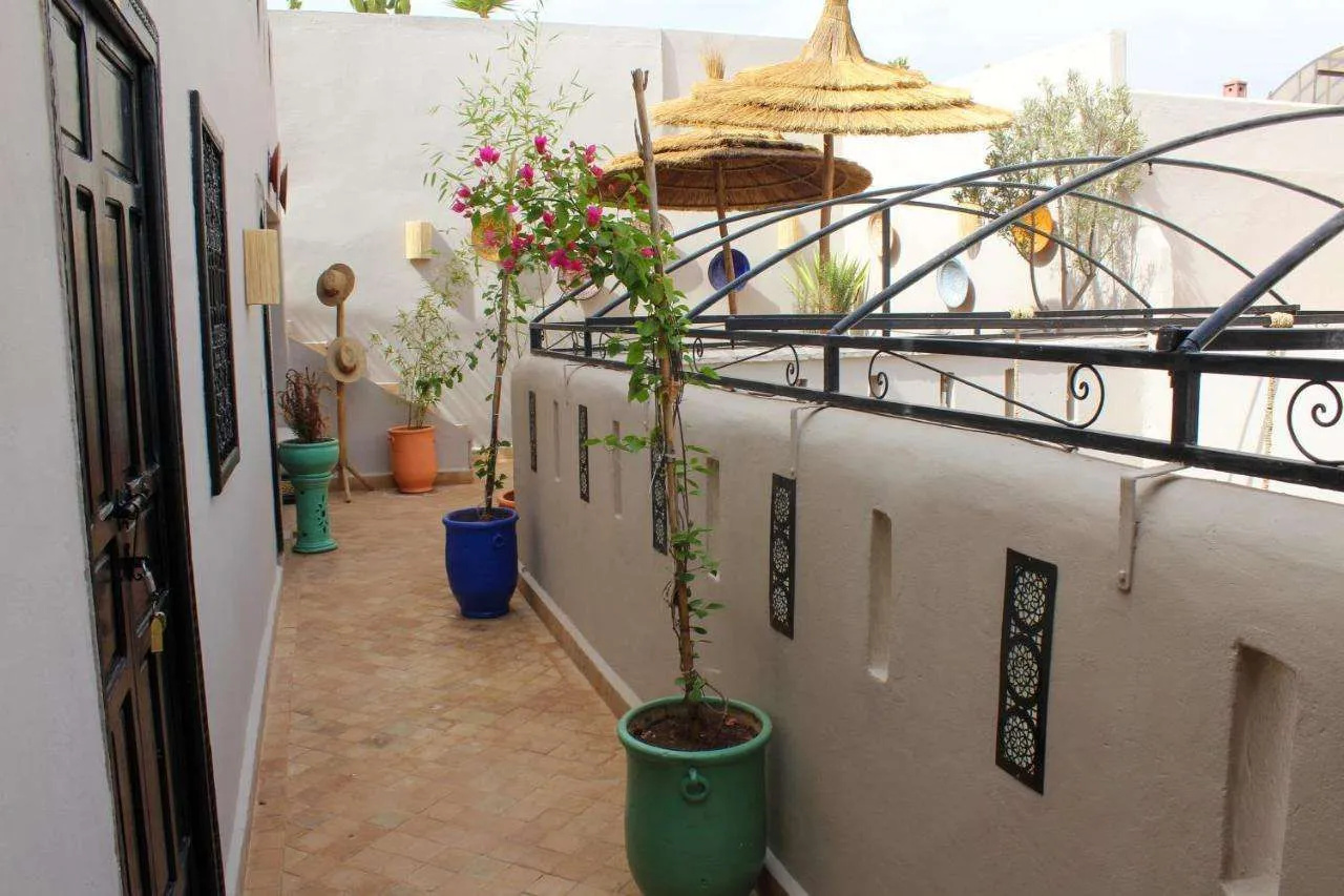 Photo - Riad Amra
