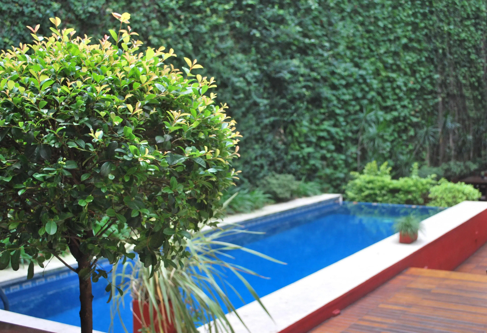 Foto - Ribera Sur Hotel