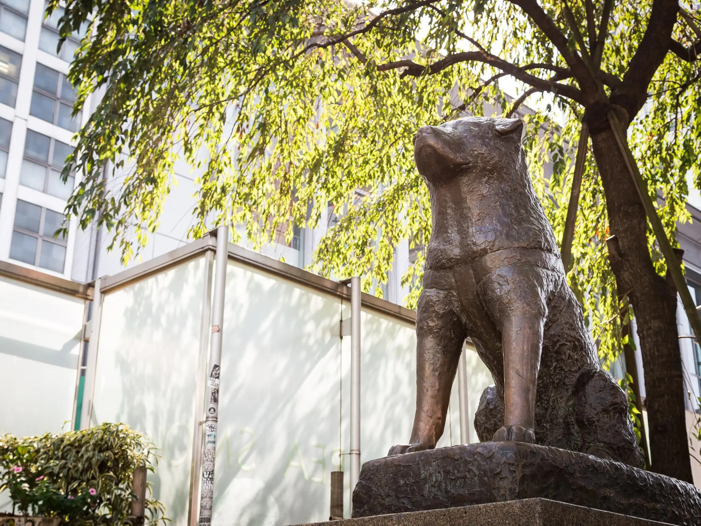 Foto - Shibuya Creston Hotel