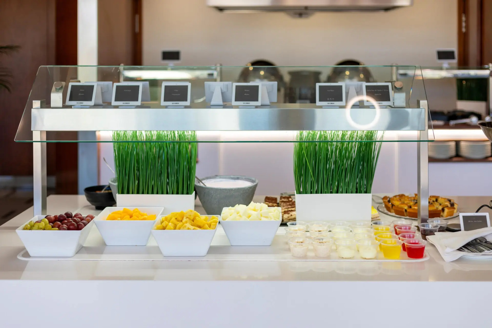 Photo - Alexandre FrontAir Congress