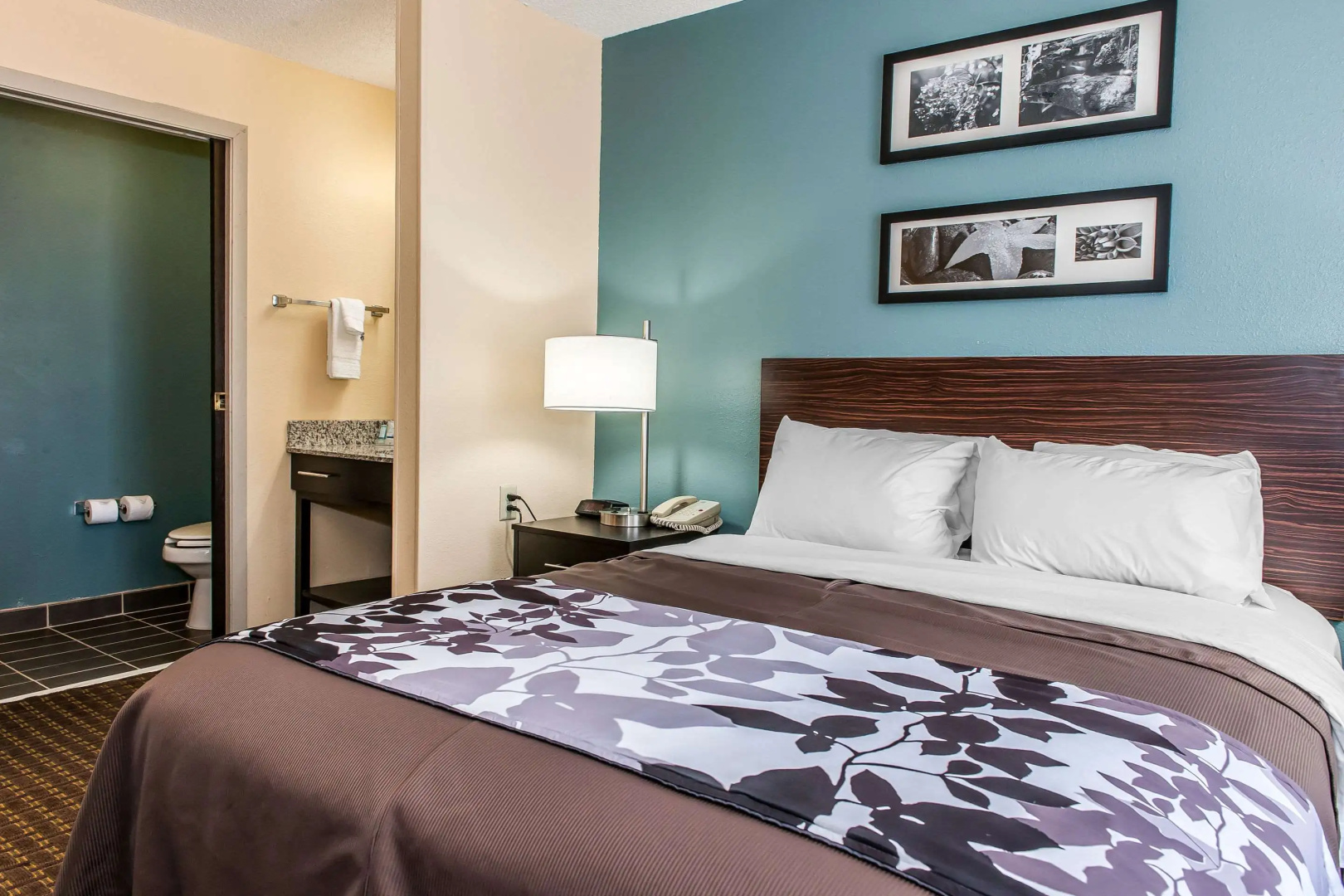 Photo - Sleep Inn Springfield West