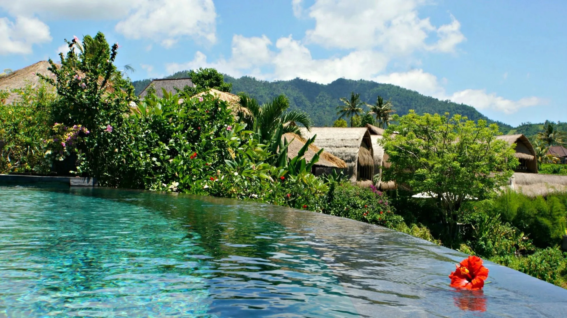 Foto - Samanvaya - Adults Only