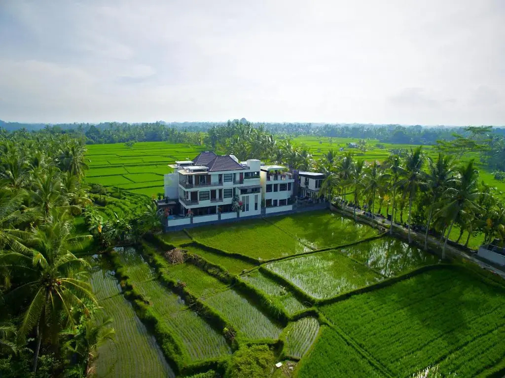 Photo - The LUXE Ubud - a Boutique Hotel
