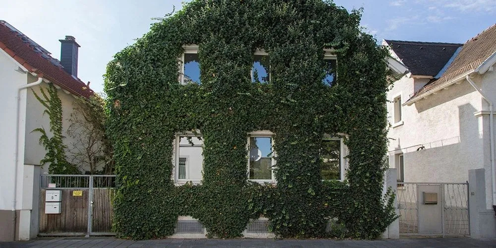Photo - Gruppenhaus Darmstadt