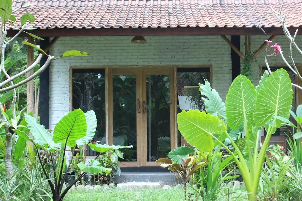Photo - Jungle House - surf & stay