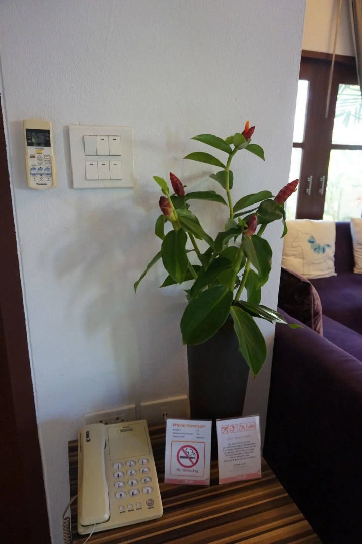 Foto - Replay Pool Villa