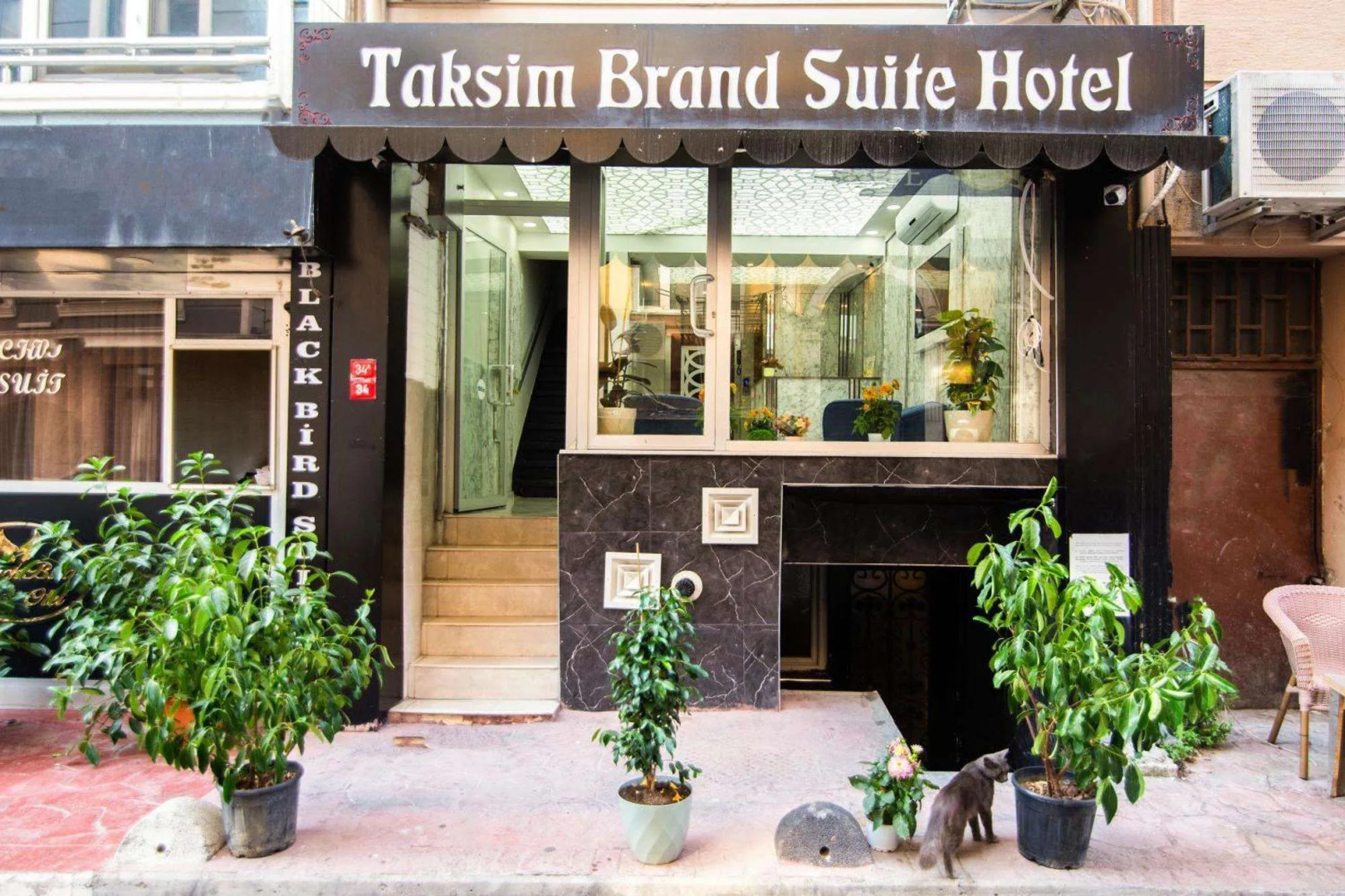 Foto - DC Suite Rooms Taksim