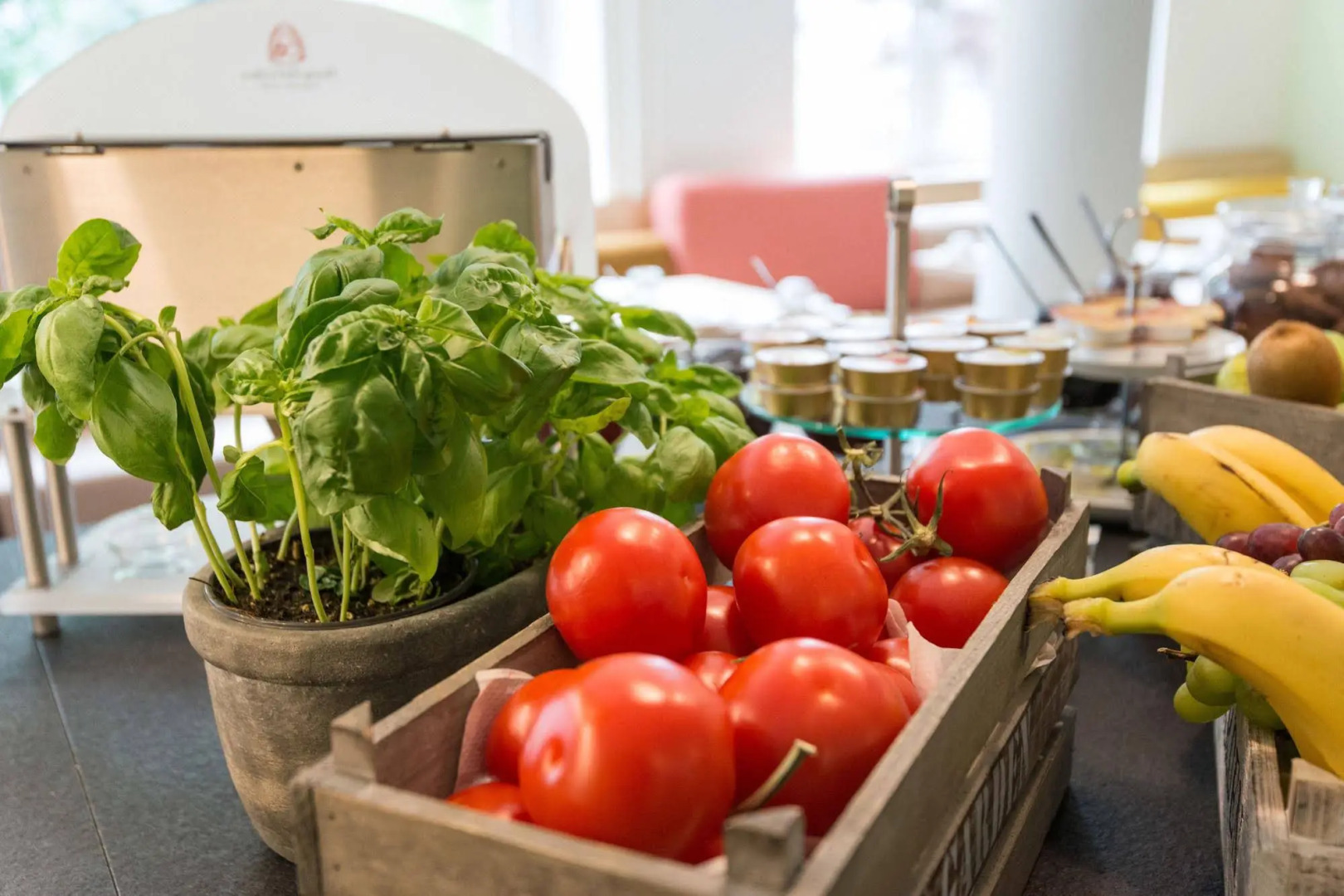 Foto - Hotel Stella Maris