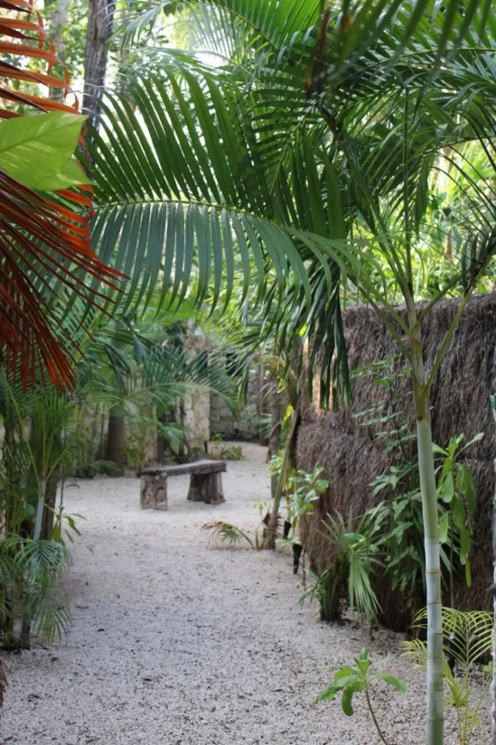 Foto - Kuun Taak Tulum