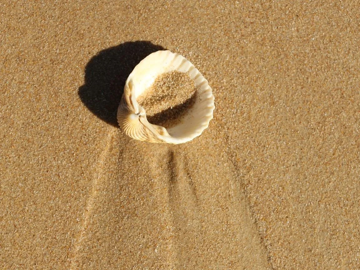 Foto - Octant Praia Verde