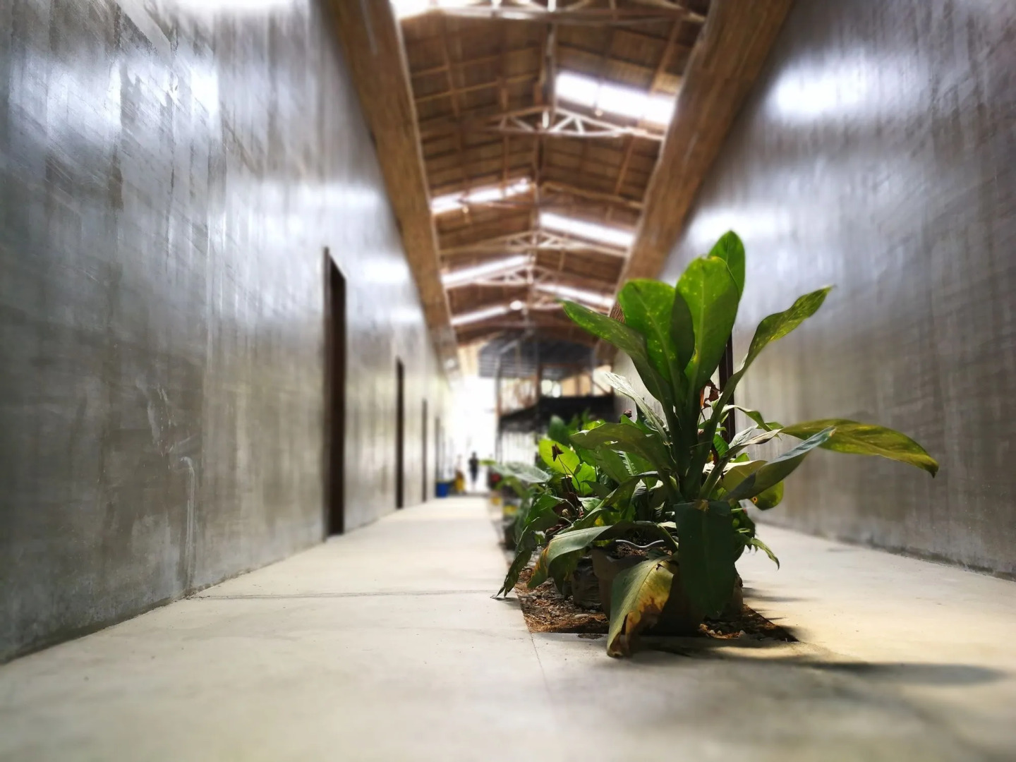 Foto - Big Paul Hostel