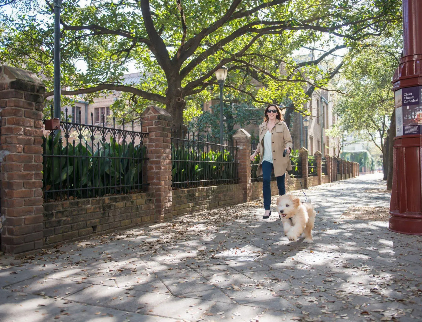 Foto - Magnolia Hotel Houston, a Tribute Portfolio Hotel