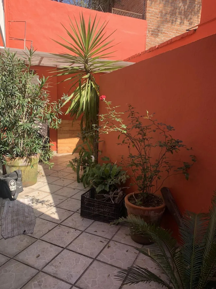 Photo - Villa Coyoacan