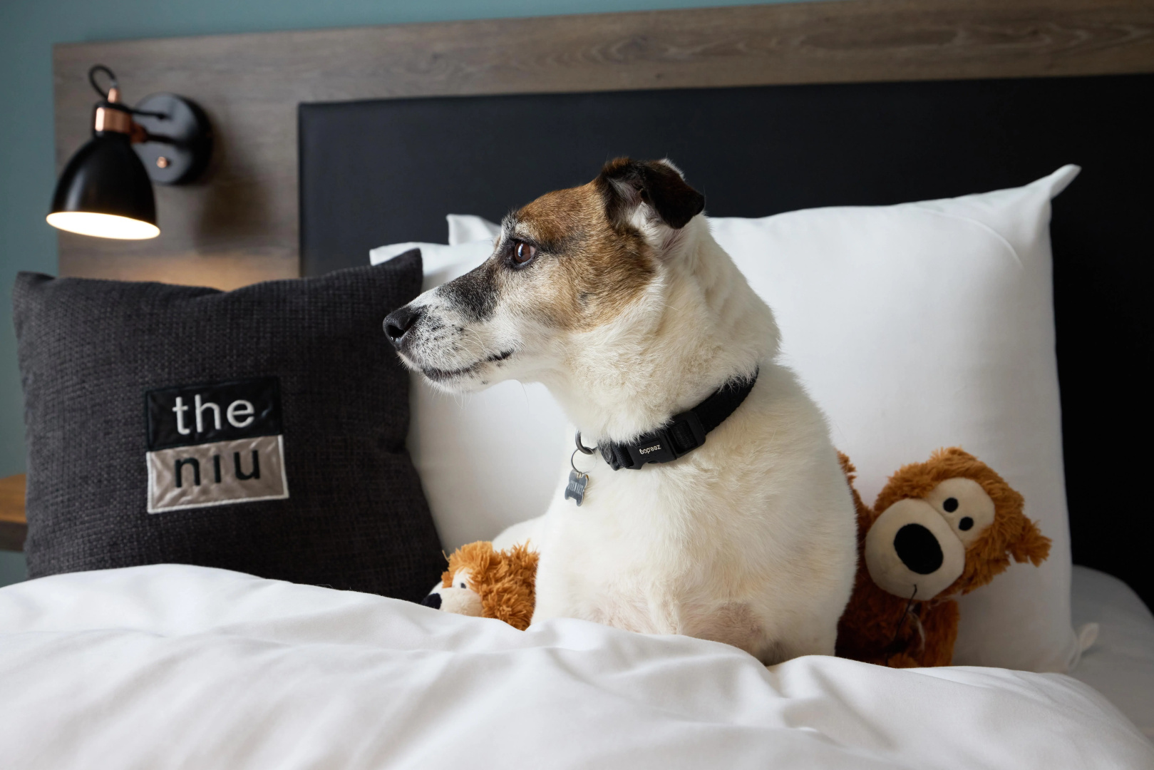 Photo - Holiday Inn - the niu, Loom Manchester North by IHG