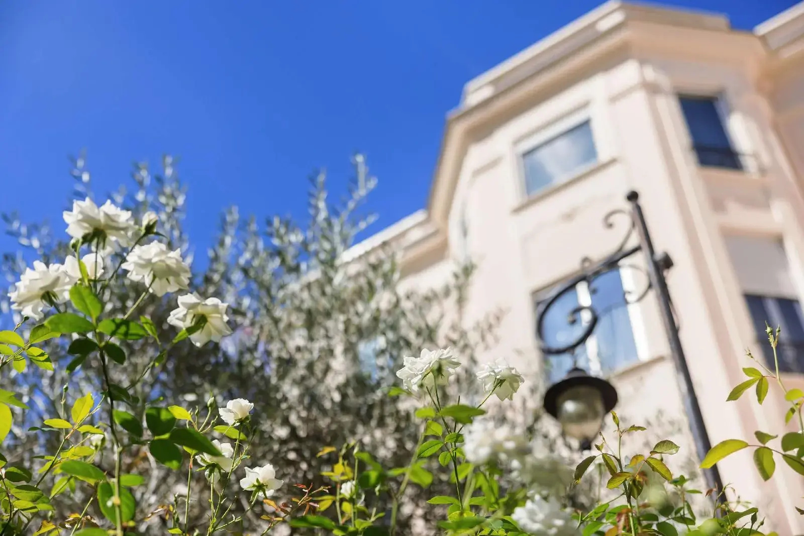 Foto - Best Western Plus Hotel Brice Garden