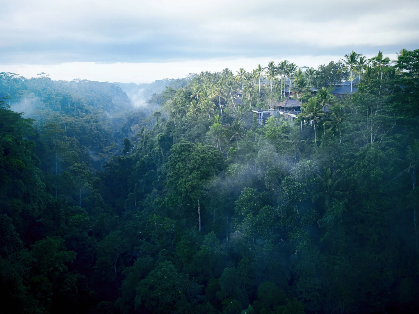 Photo - HOSHINOYA Bali
