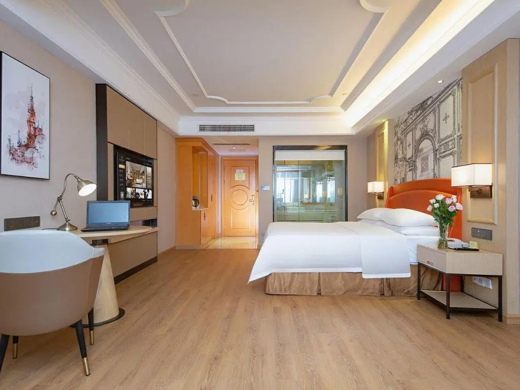 Vienna International Hotel (Changsha Hongxing Desiqin Plaza)