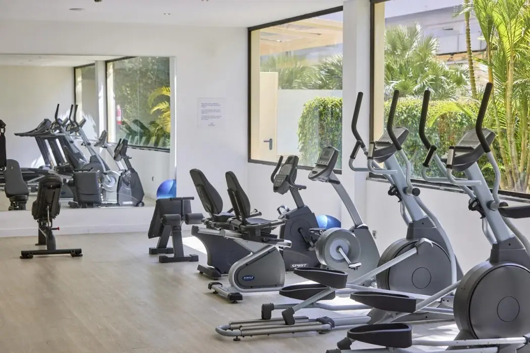 Foto - Zafiro Rey Don Jaime