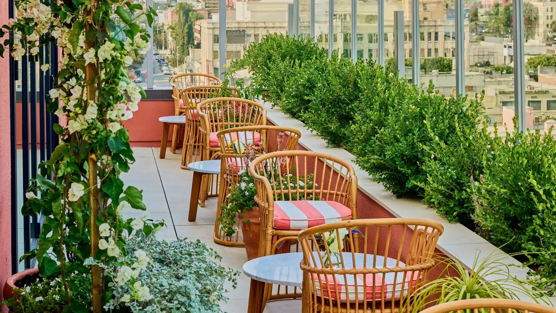 Foto - The Hollywood Grande, Autograph Collection