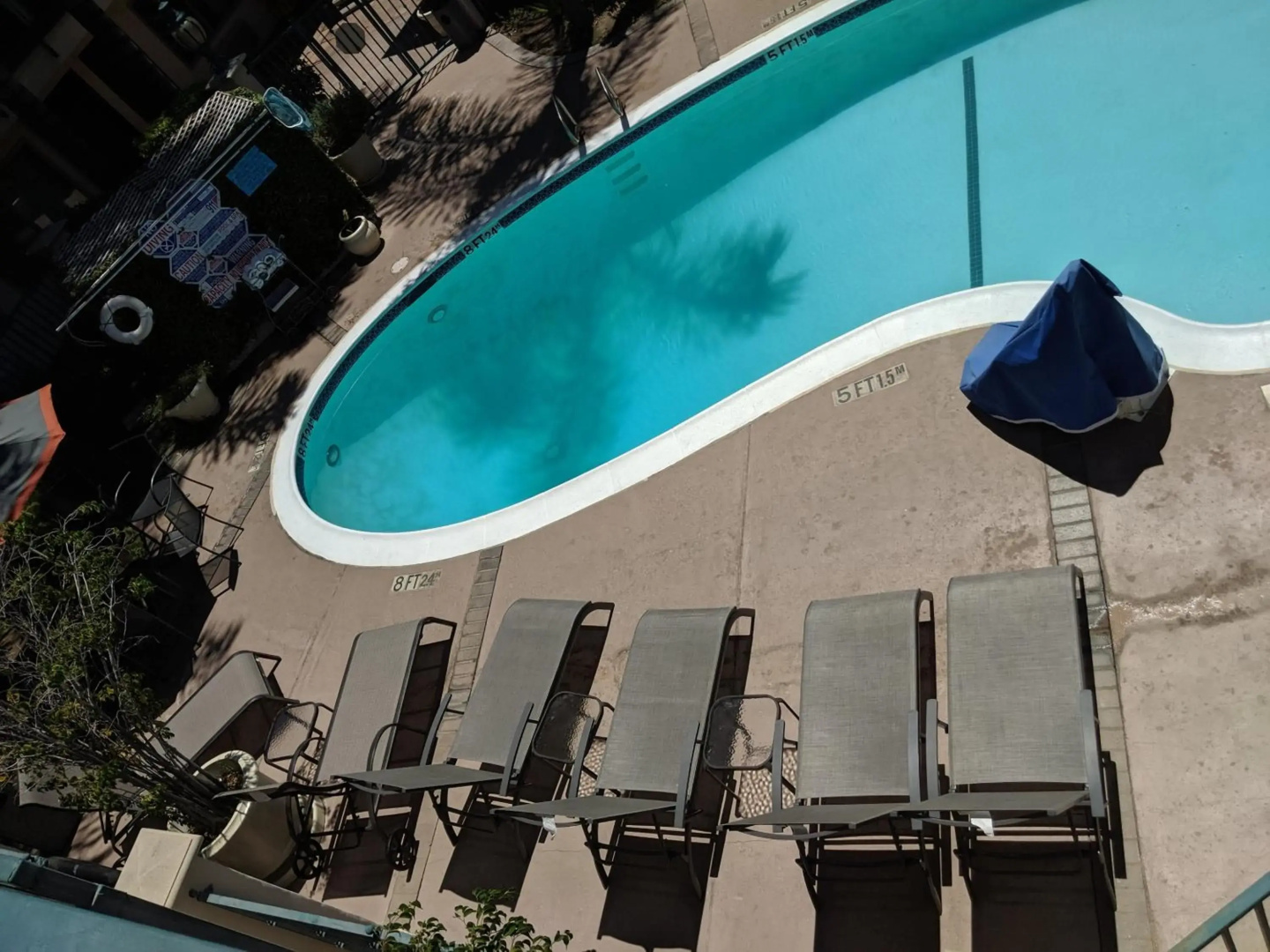 Foto - Tarzana Inn