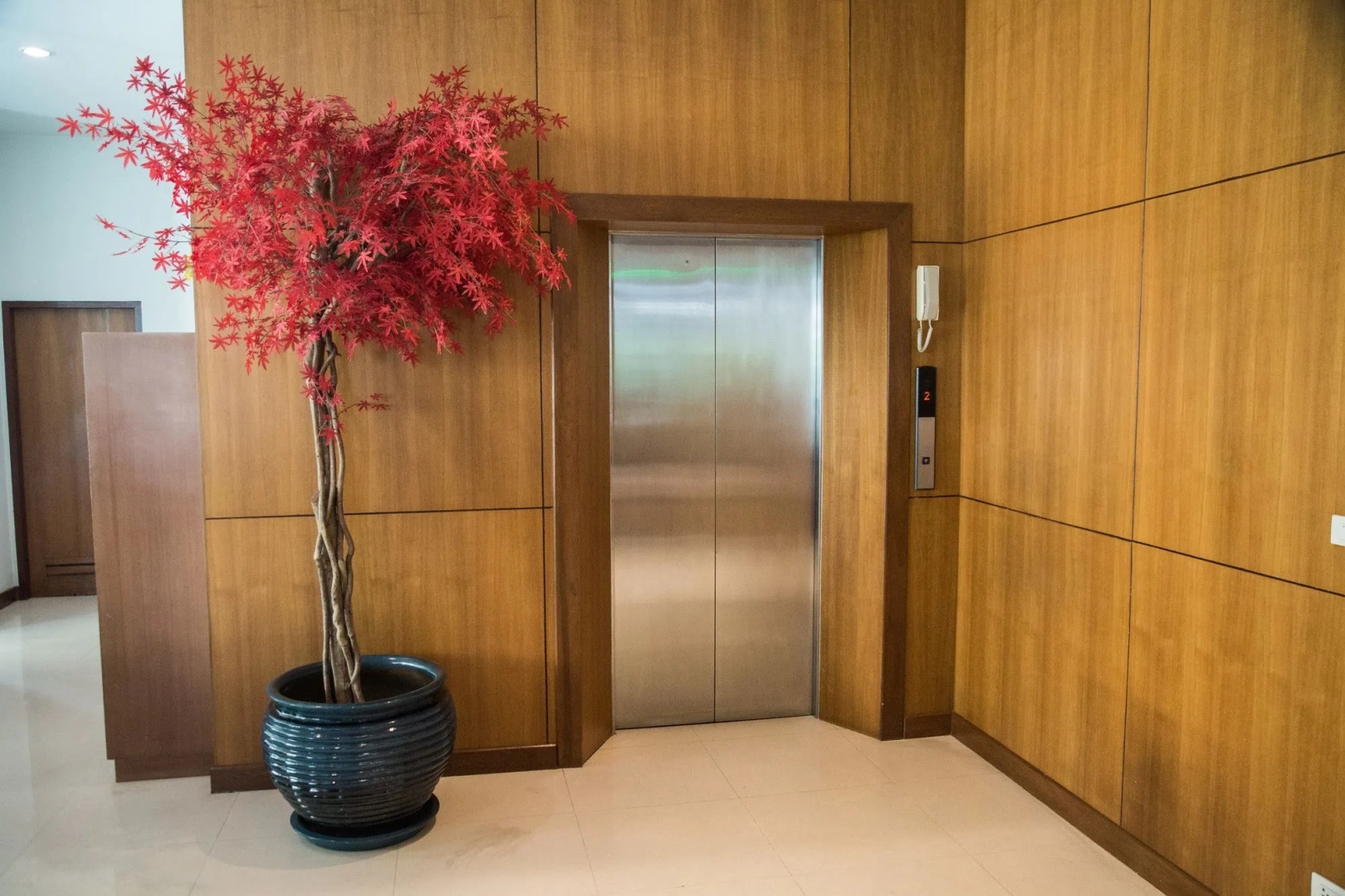 Foto - Bangkok Patio