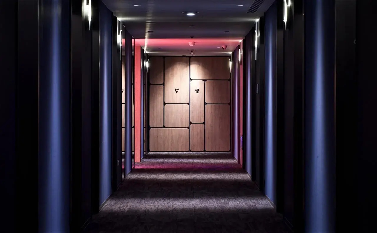 Foto - Just Sleep - Ximending