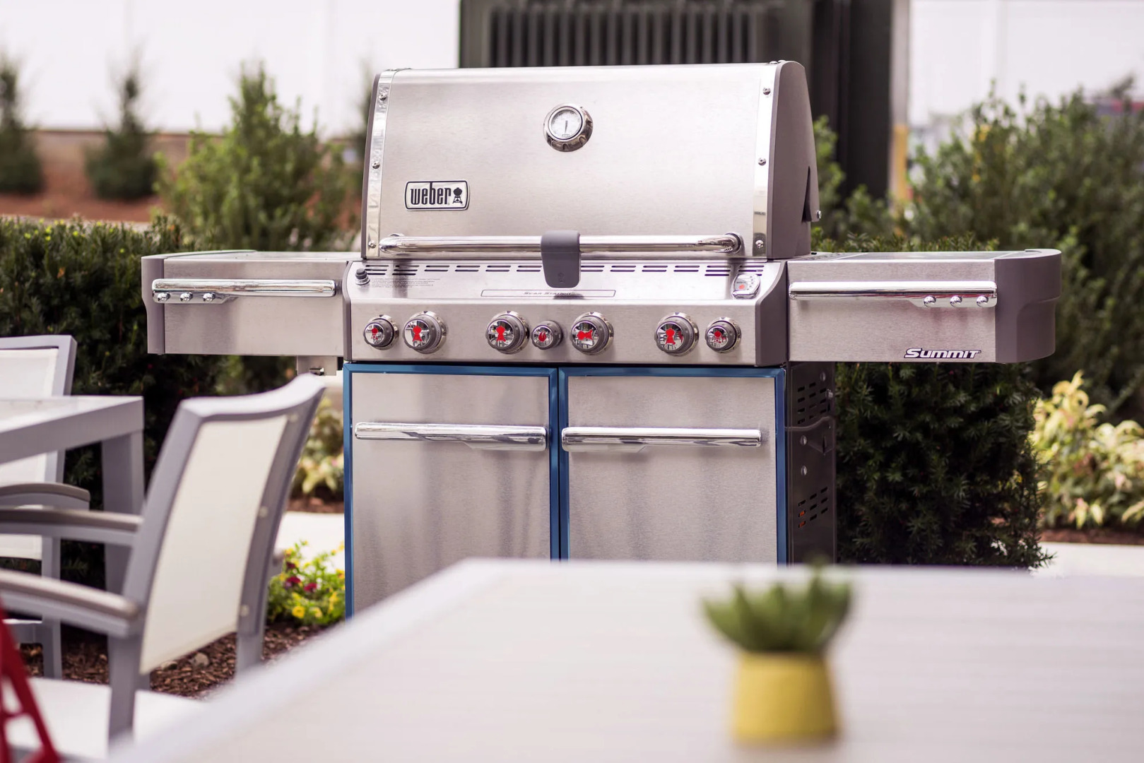 Photo - Residence Inn by Marriott Boston Watertown