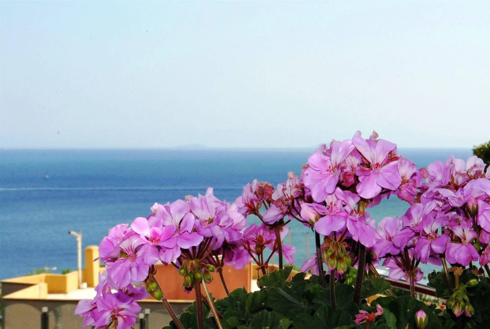 Foto - Hotel Buhara Family Inn