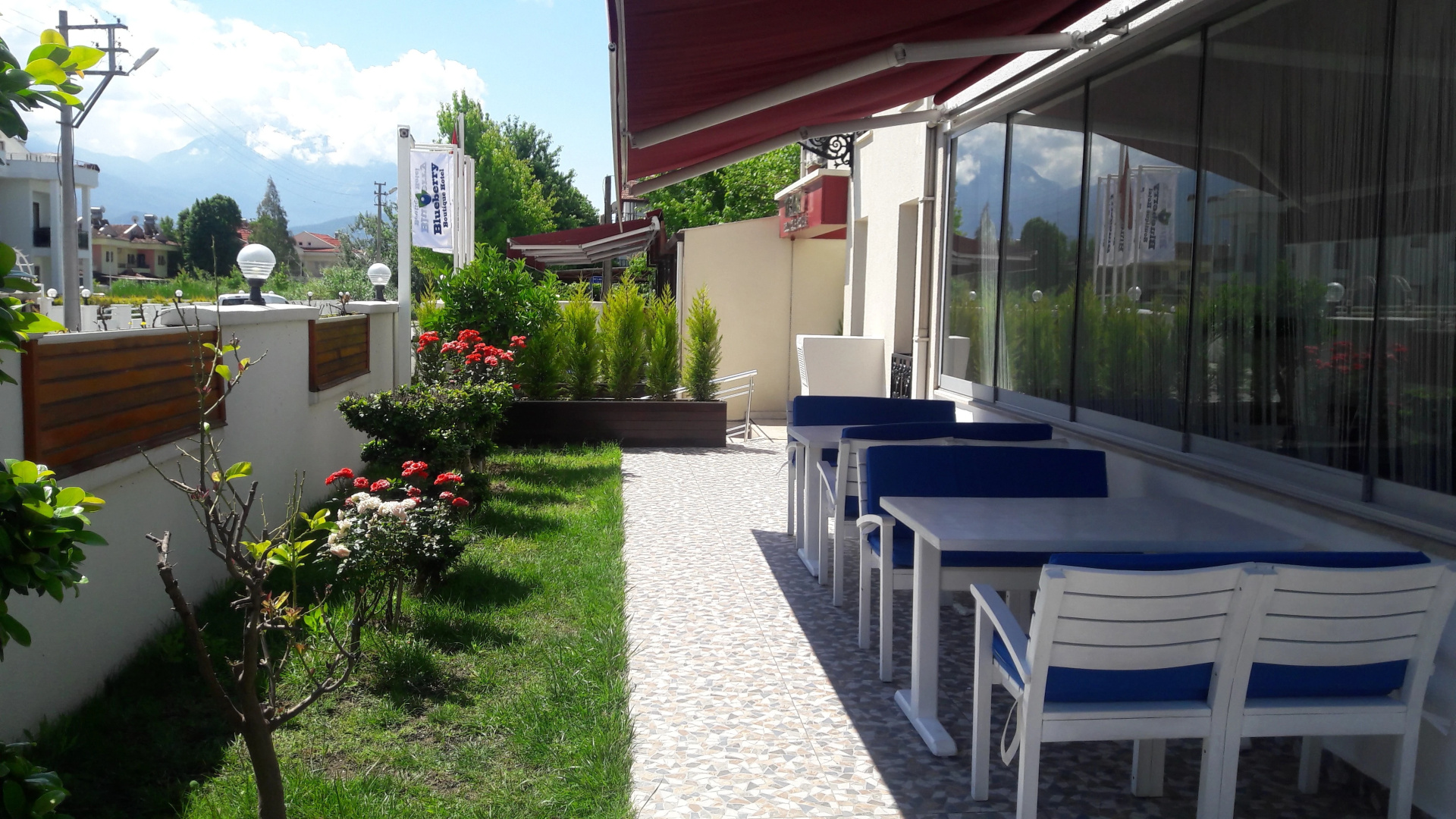 Photo - Blueberry Boutique Hotel