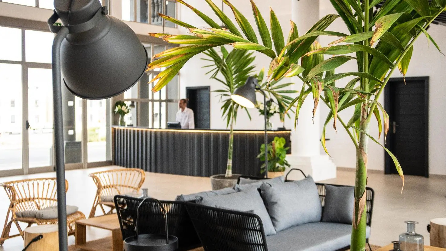 Photo - Coral Cotillo Beach