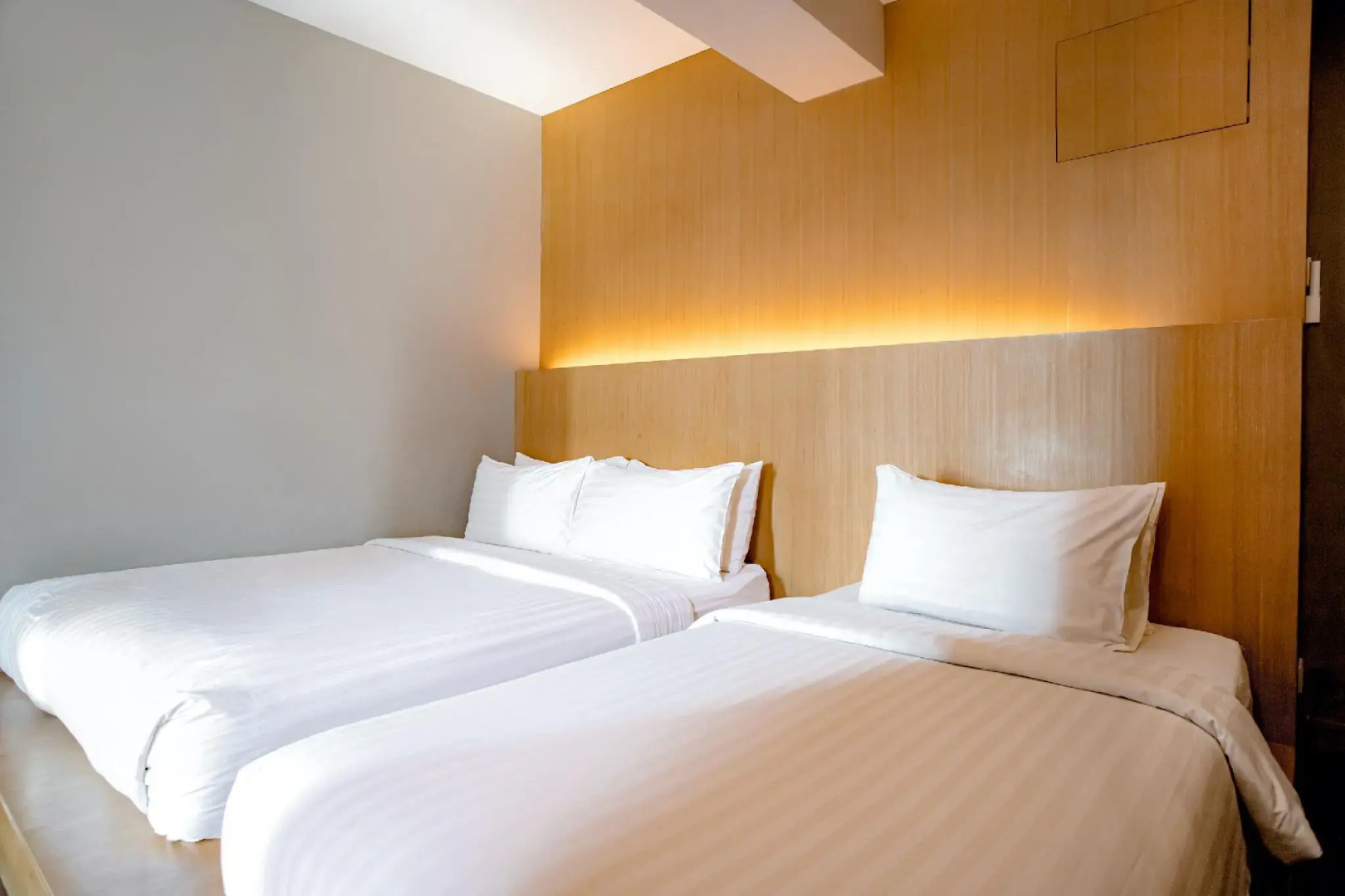 Photo - Travelier Hostel